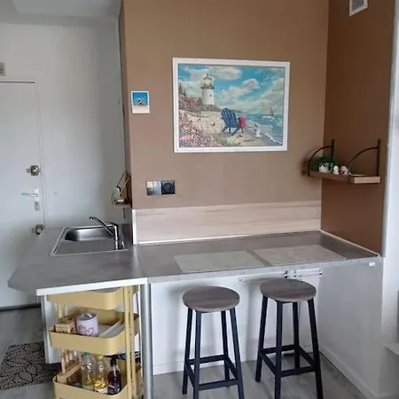 Апартаменты Un Petit Nid Douillet En Front Et Vue St Jean Сен-Жан-де-Мон