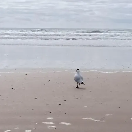 Un Petit Nid Douillet En Front Et Vue St Jean Appartement Saint-Jean-de-Monts